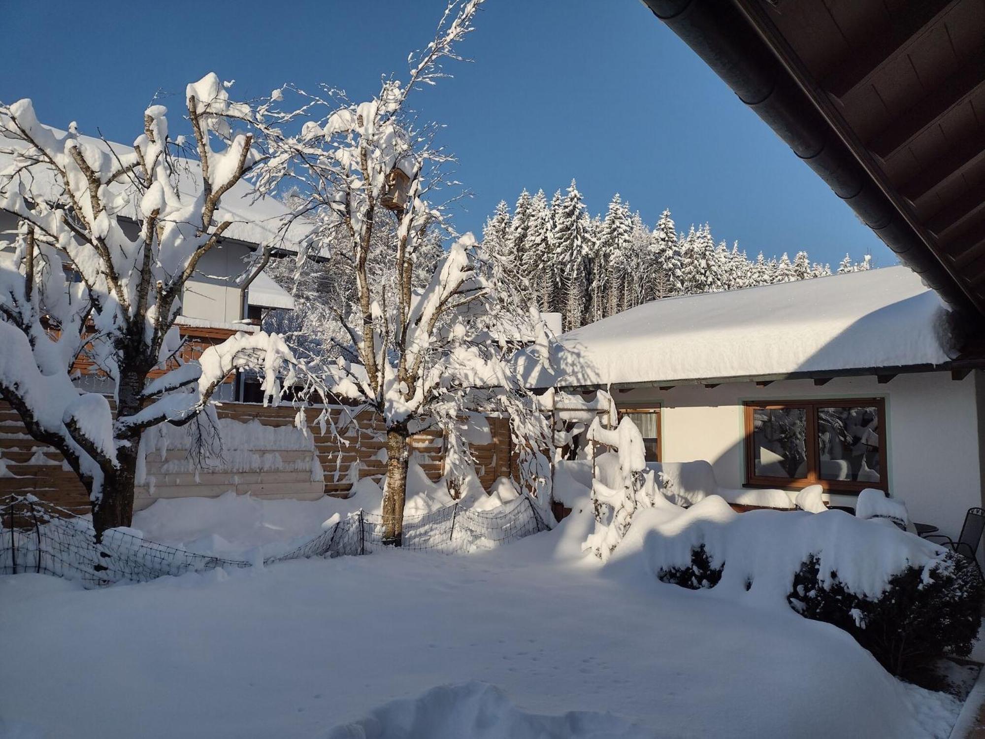 Cosy Holiday Home With Sauna In The Allg U Burggen Dış mekan fotoğraf